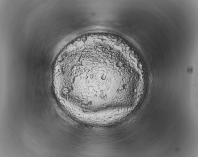 X0000112161413200908281352