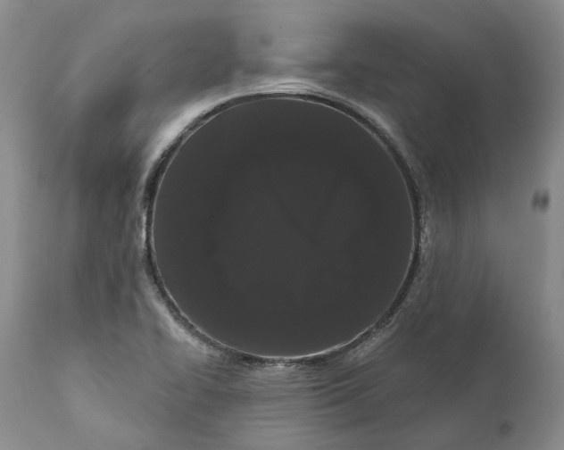 X0000112161414200908281352