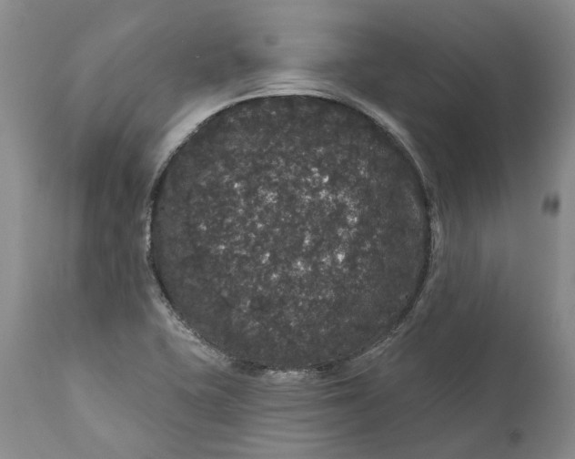 X0000112161415200908281352