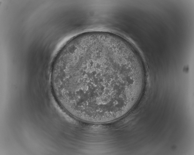 X0000112161416200908281352