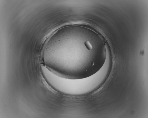 X0000112161417200908281352