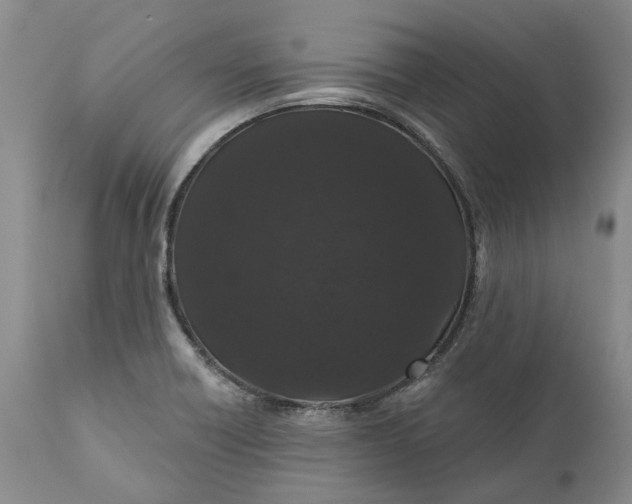 X0000112161418200908281352