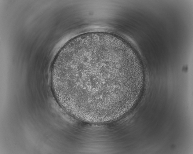 X0000112161419200908281352