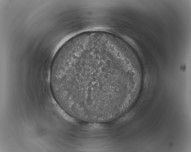 X0000112161420200908281352