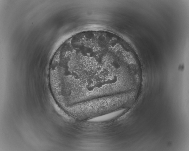 X0000112161421200908281352