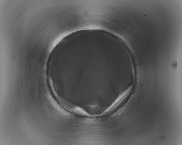 X0000112161422200908281352