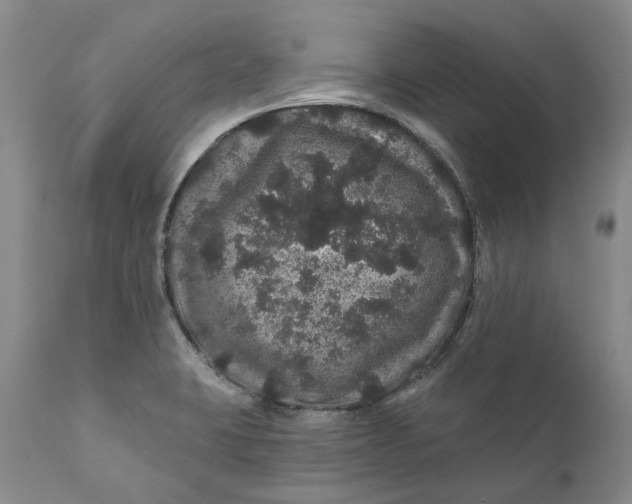 X0000112161423200908281353