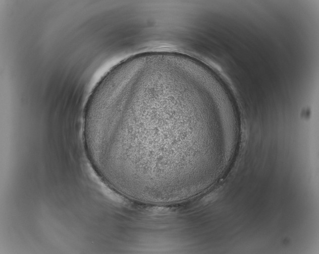 X0000112161424200908281353