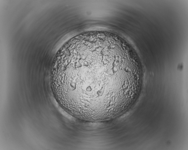 X0000112161425200908281353