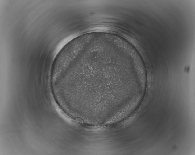 X0000112161426200908281353