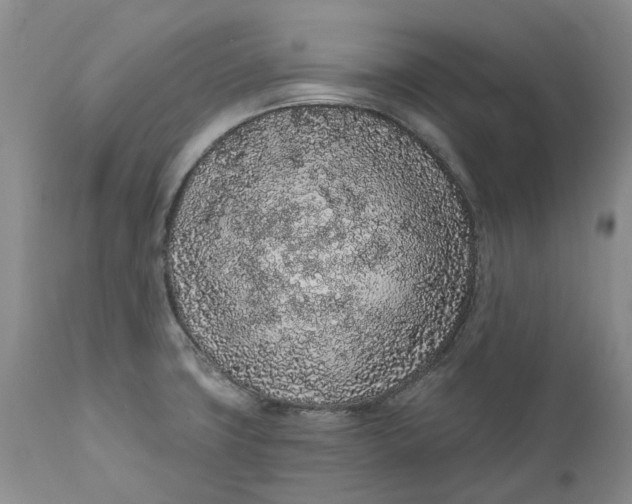 X0000112161427200908281353