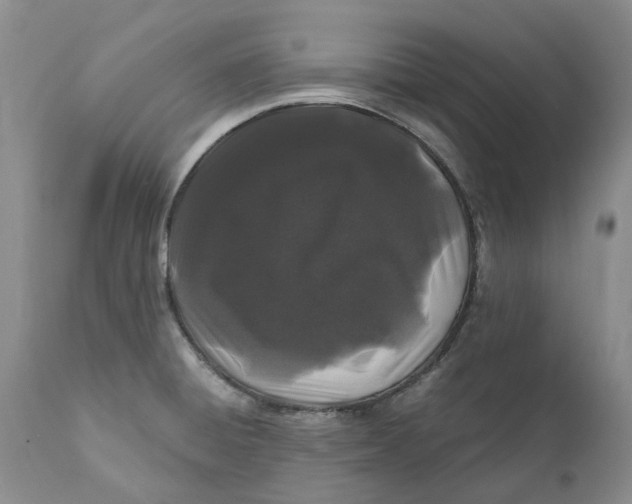 X0000112161428200908281353