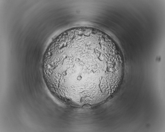 X0000112161429200908281353