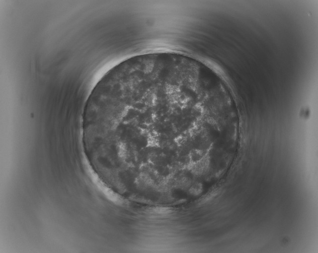 X0000112161431200908281353