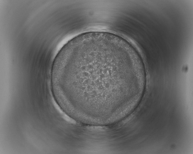 X0000112161432200908281353