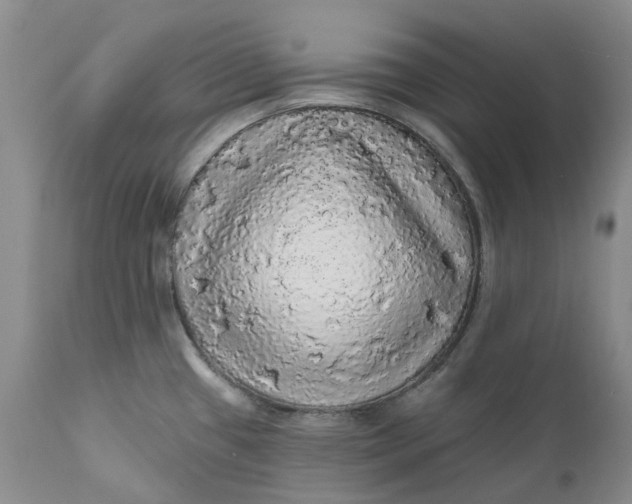 X0000112161433200908281353