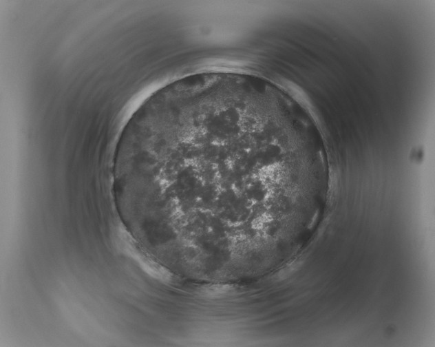 X0000112161435200908281353