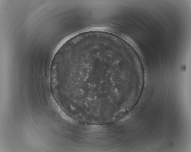 X0000112161436200908281353