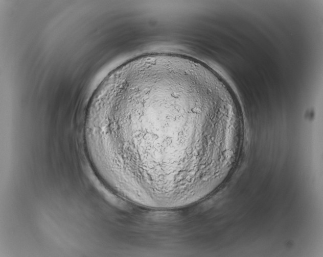 X0000112161437200908281353