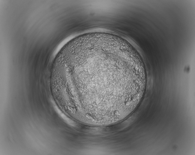 X0000112161438200908281353