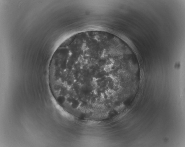 X0000112161439200908281353