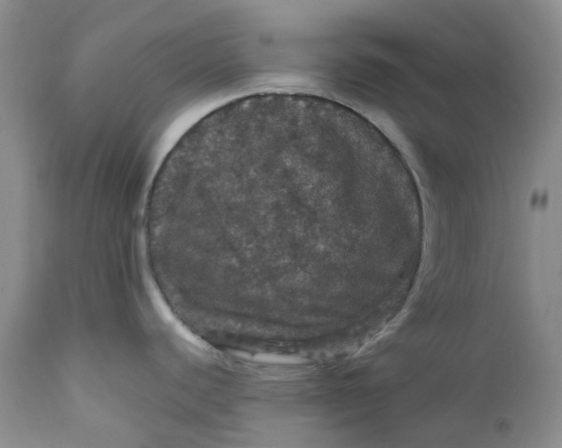 X0000112161440200908281353