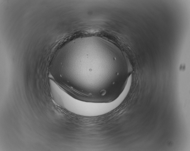 X0000112161441200908281352