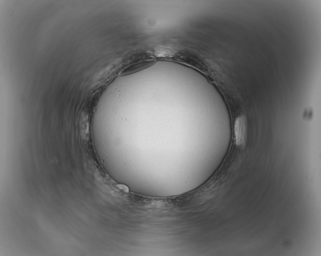 X0000112161443200908281352