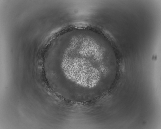 X0000112161445200908281352