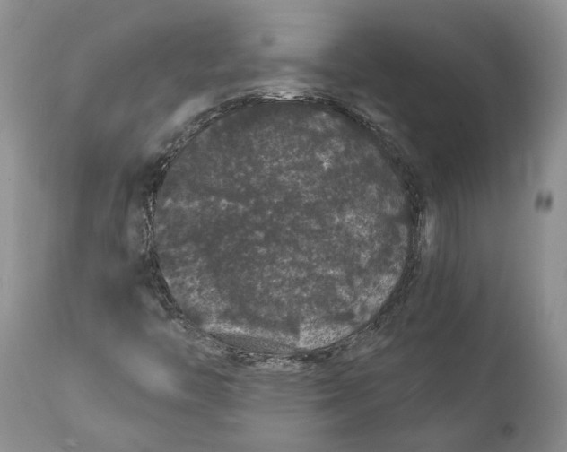 X0000112161446200908281352