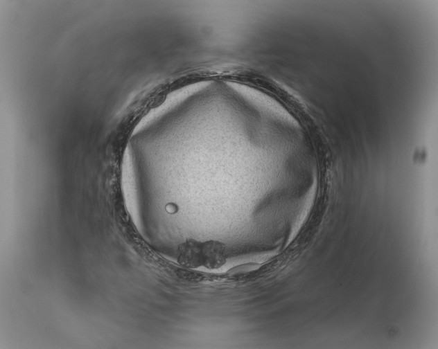 X0000112161447200908281352