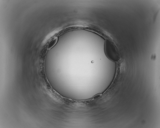 X0000112161448200908281352