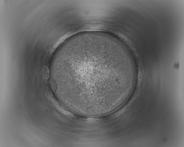 X0000112161449200908281352