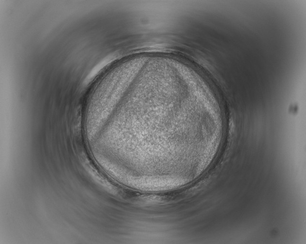 X0000112161450200908281352