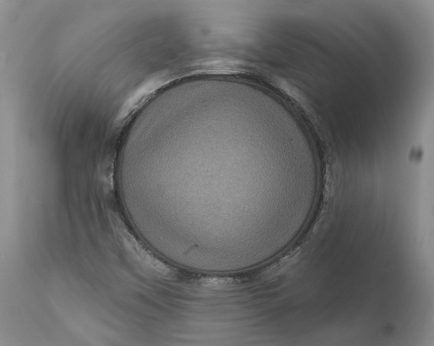 X0000112161451200908281352