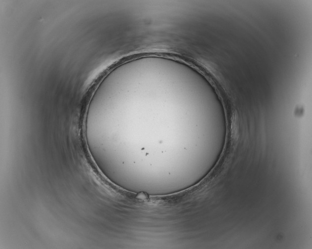 X0000112161452200908281352