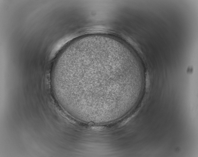 X0000112161453200908281352