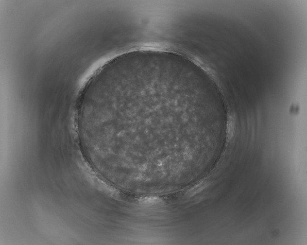 X0000112161454200908281352