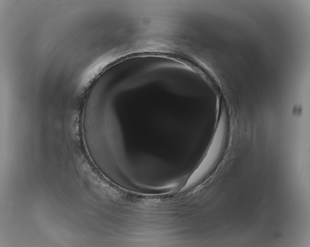 X0000112161455200908281352