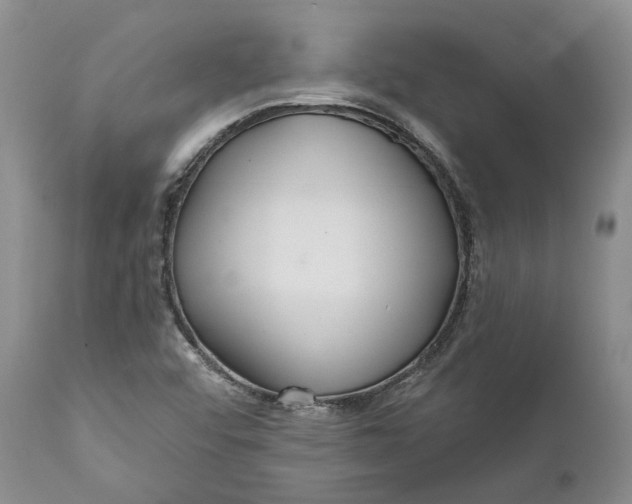 X0000112161456200908281352