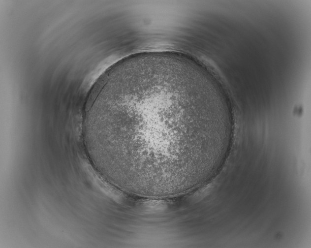 X0000112161457200908281352