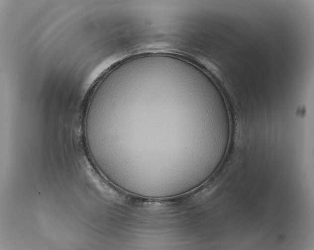 X0000112161458200908281352