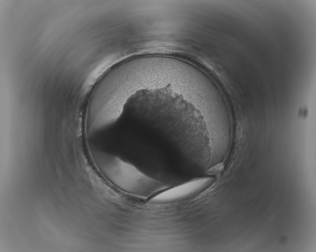 X0000112161459200908281352