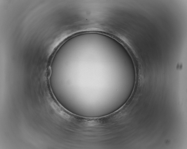 X0000112161460200908281352