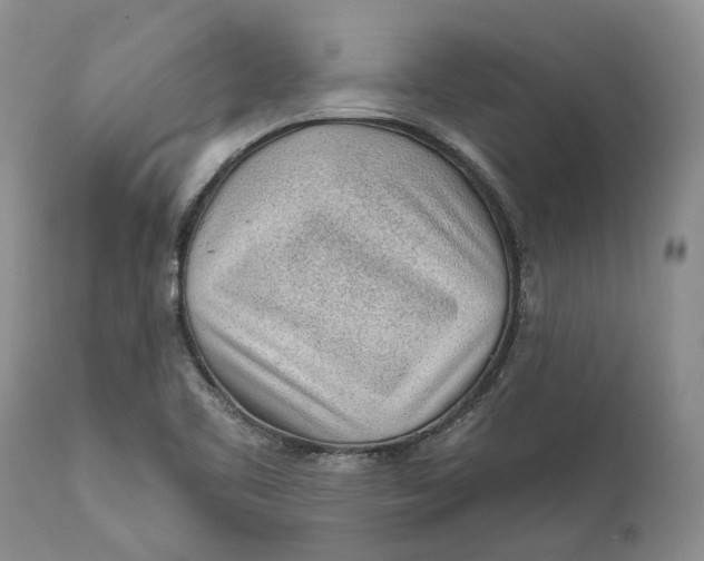 X0000112161461200908281352