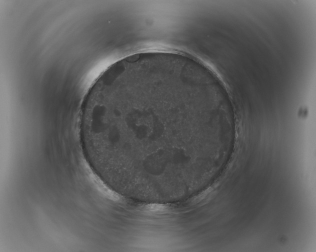 X0000112161463200908281352