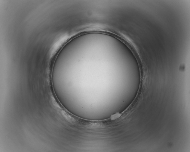 X0000112161464200908281352