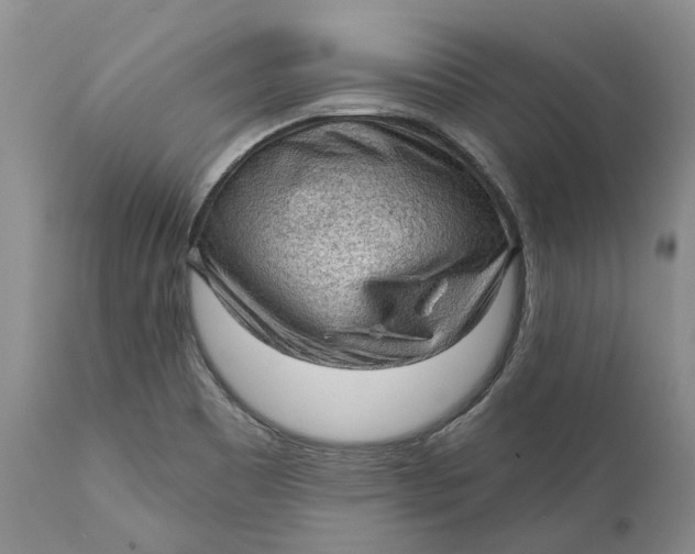 X0000112161465200908281352