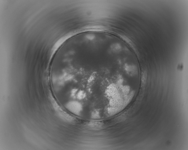 X0000112161466200908281352