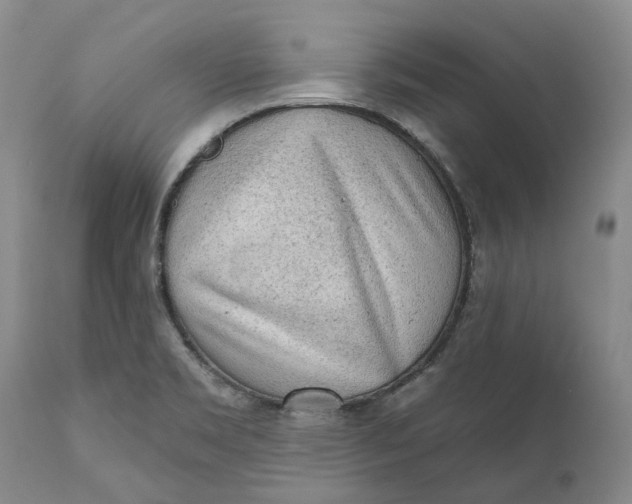 X0000112161469200908281352